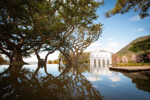 星塵婚禮攝影 - 