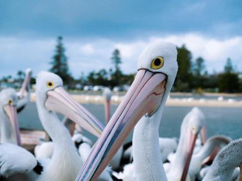 日日接案所 - 旅遊攝影