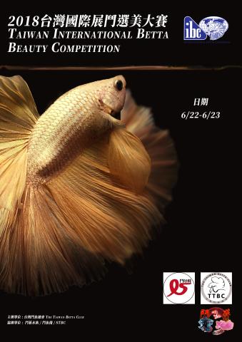 Tetsuya 工作室 - 海報範例(含攝影)