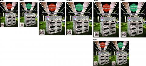 林奕欣 - 傳單(不同尺寸)