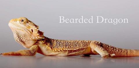 Joseph Studio - 棚拍攝影