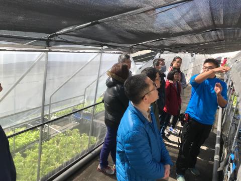 魚菜共生時代 - 台北市屋頂300坪鱘龍魚菜農場導覽，並且透由導覽，分享屋頂農場防颱設施與經驗。