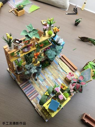 林小姐 - 純手作迷你屋植物盆栽