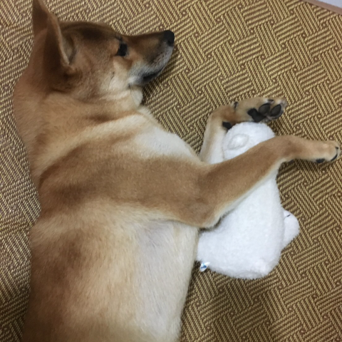 提供dance168學費服務的專家張智崴