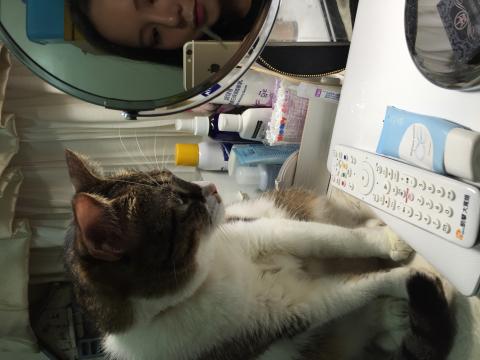 文文 - 與小波的初次見面❤️