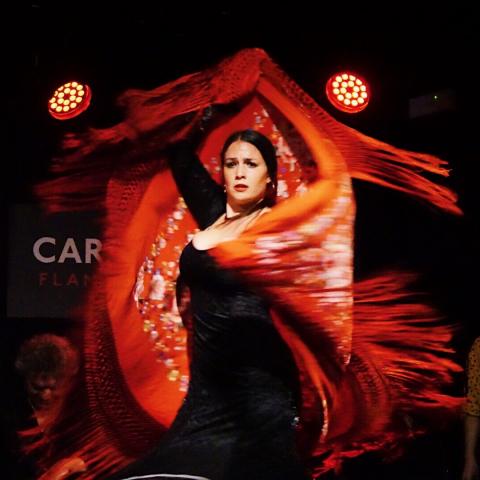 藍鏡Blue Lens - 表演攝影