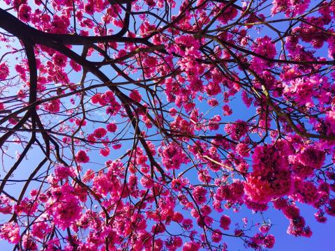 藍斯洛 影像創作 -  藍斯洛 影像創作 -