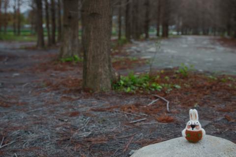 荒島有鹿影像工作室 - 羊毛氈情境照-2