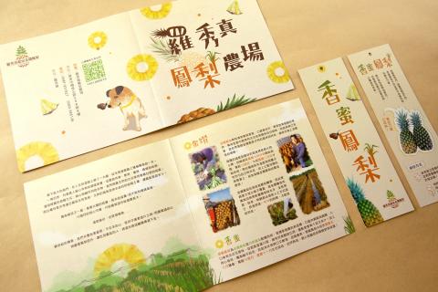 高晟 - 羅秀真鳳梨_平面設計