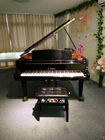 陳俐臻老師 - 河合平台演奏琴