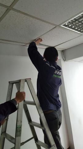 旭輝消毒 - 老鼠巡視