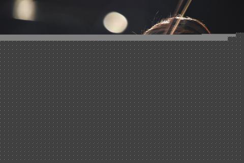 林禹彤 - 演奏會紀錄