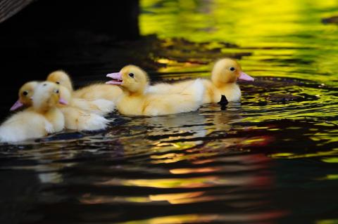 Katoh攝影工作室(婚攝/商攝) - 風景攝影作品