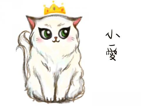 fishredkiss - 角色設定