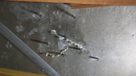 邵偉偉 - 天花板漏水抓漏