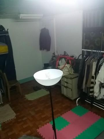 賴美伊 - 整理完