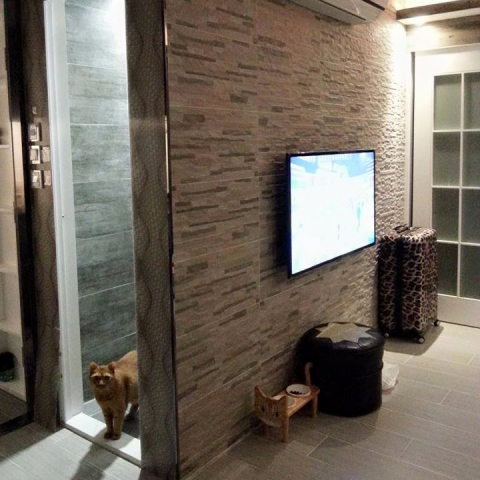 LunaCat居家打掃服務/窗簾/寵物保姆 - 室內設計－裝潢後