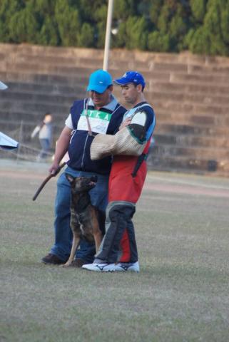 華勝警犬訓練諮詢中心 - 