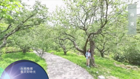 六克奈影音工作室 -  六克奈影音工作室 -