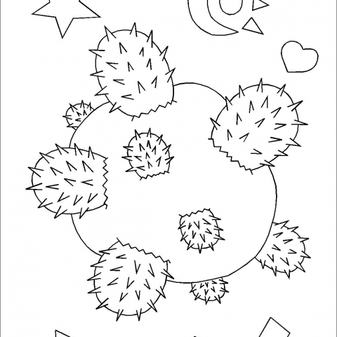 靈感 - 仙人掌星球