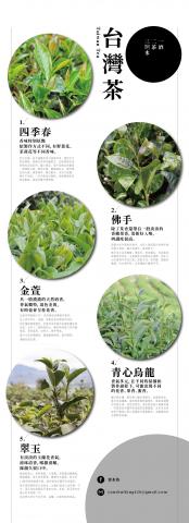 Zoe Chen - 排版設計