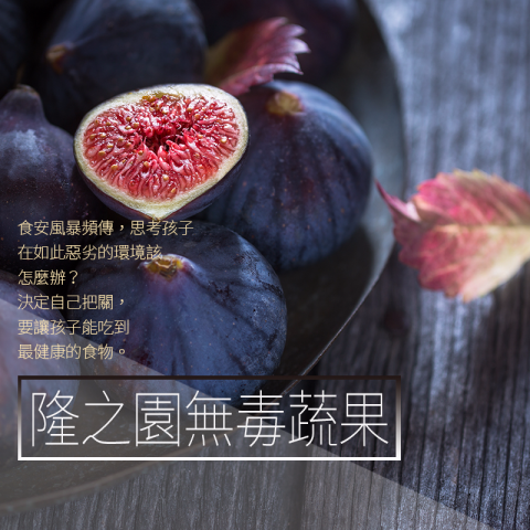 米納網路行銷企業社 - 