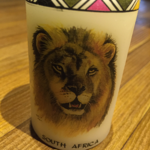 提供兼差服務的專家Ray