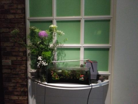 高湘妮 - 這是一個固定清潔客戶的家一星期去一次，每次四小時，跟她配合有四個月的時間，客戶是一位配合度很棒的女士，今天上工前停在紅綠燈時剛好路口上有賣花，我就花了一些錢買花，清潔工作完成時我都會用line或簡訊通知客戶，工作已完成要離開了，順便把今天插的花照片拍下來傳給客戶，她覺得她房子裡的玄關今天很不一樣，訊息裡傳#回到家看到美麗的花，希望她每天都有好心情，看到自己小小動作讓客戶覺得幸福我自己也很愉快