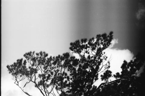 胡羽吟 - 機械式底片相機攝影