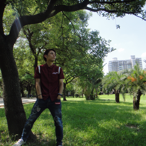 吉他、電吉他、舞蹈教學 - 