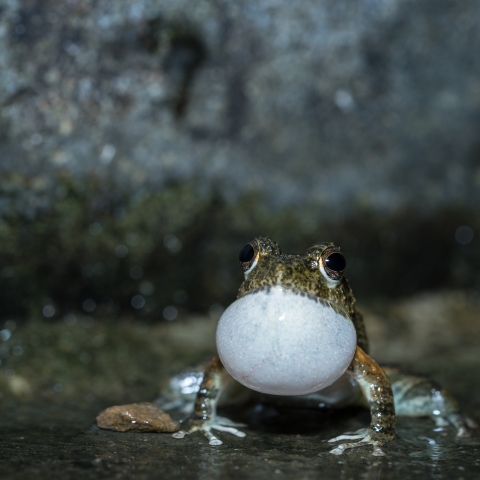 提供錄音筆sony服務的專家李東