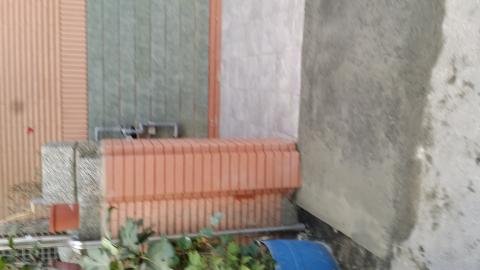 子彧王清潔修繕工作室 - 