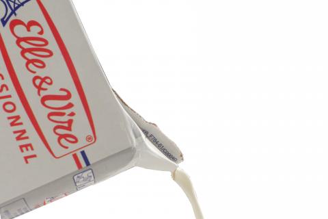 IMARKETING / Addam ED - 去背