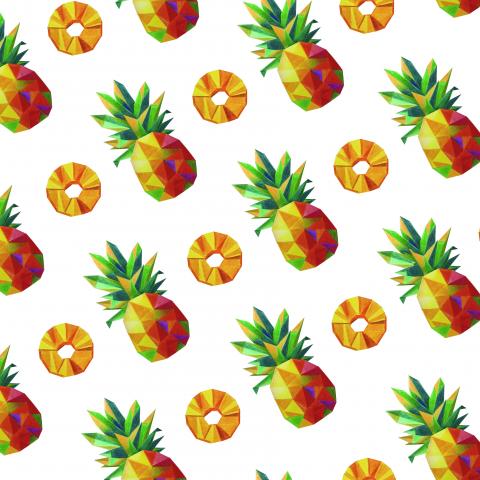 表色相工作室 - 鳳梨外裝設計