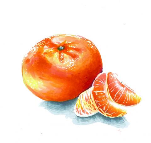 陳欣廷 - 麥克筆繪