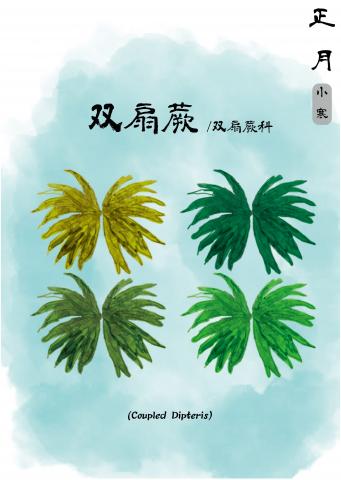 流浪設計 - 年曆設計