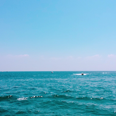 提供wordpress架設服務的專家Vivienne