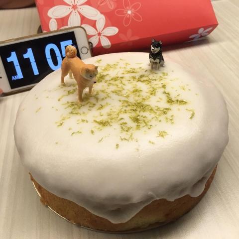 微糖小朱烘焙餐飲 - 生日蛋糕