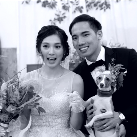 柏林創意視覺有限公司 - 2016年作品