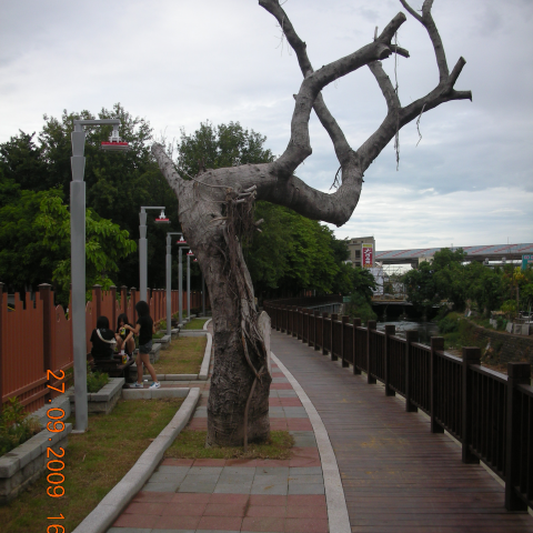 星典工程顧問有限公司 - 