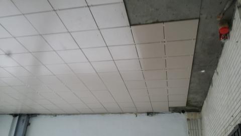 Lian 潔淨修繕工坊 - 