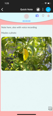 誠果資訊科技 - QNotePro - voice recording, images taking, note taker App - Taking note mode