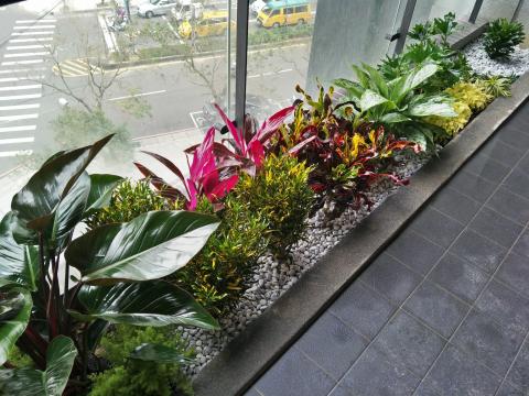 新竹綠的空間-園藝美化工程 - 