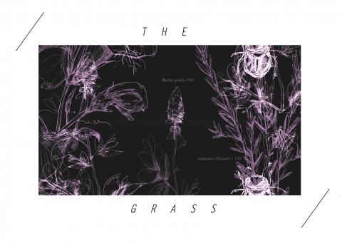 Tetsuya 工作室 - 插畫範例