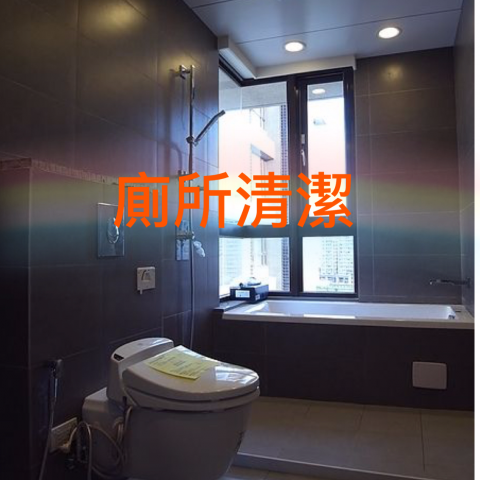 好家仕  清潔 - 廁所 馬桶 洗臉台清潔