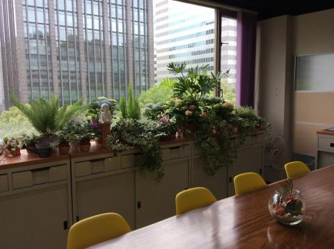 有情田生活網 - 窗台美化