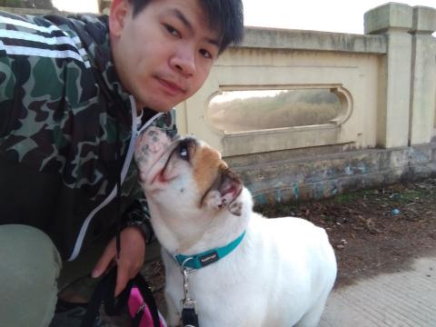 寵物行為訓練師-Bruce - 