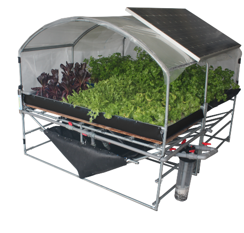 魚菜共生時代 - 此為太陽能魚菜系統，尺寸為：寬2m長3m高1.8m。此系統亦可申請政府補助。