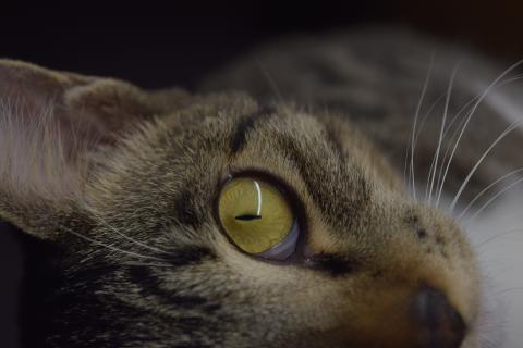 駱昱晨 - 個人攝影作品