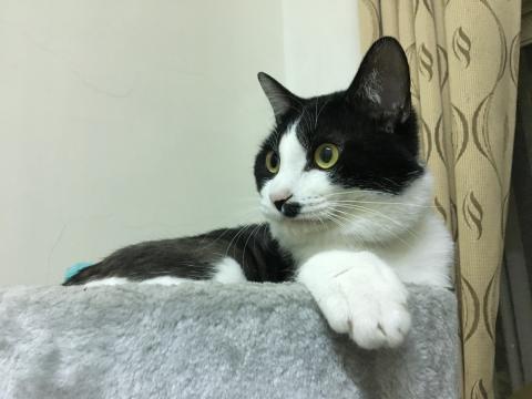 文文 - 咘咘您好呀❤️